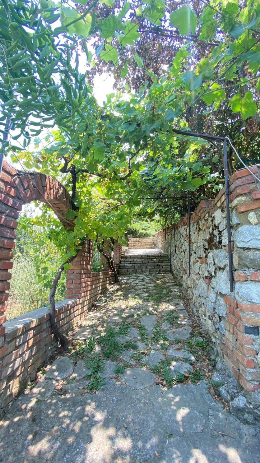 Villa Mugs Ljaknasi Dış mekan fotoğraf